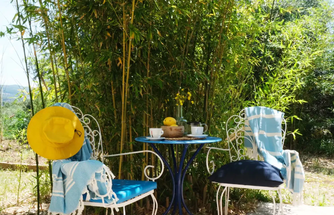 2024_BLUE MARINA_24da281c-dc79-44c9-bf3b-a4c44a042262