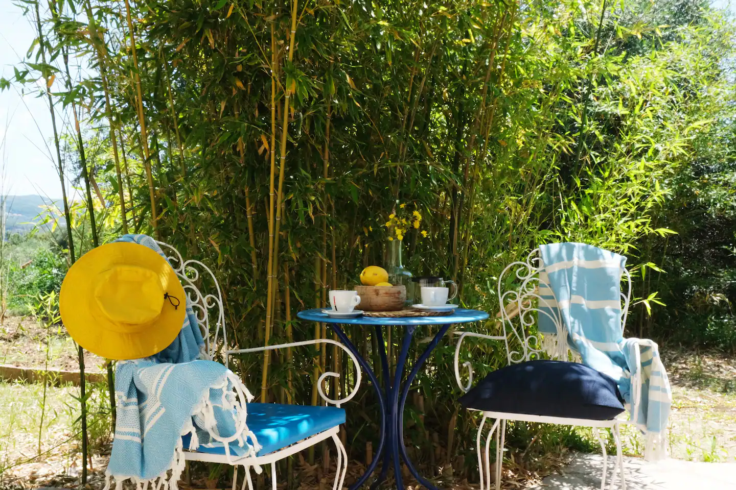 2024_BLUE MARINA_24da281c-dc79-44c9-bf3b-a4c44a042262