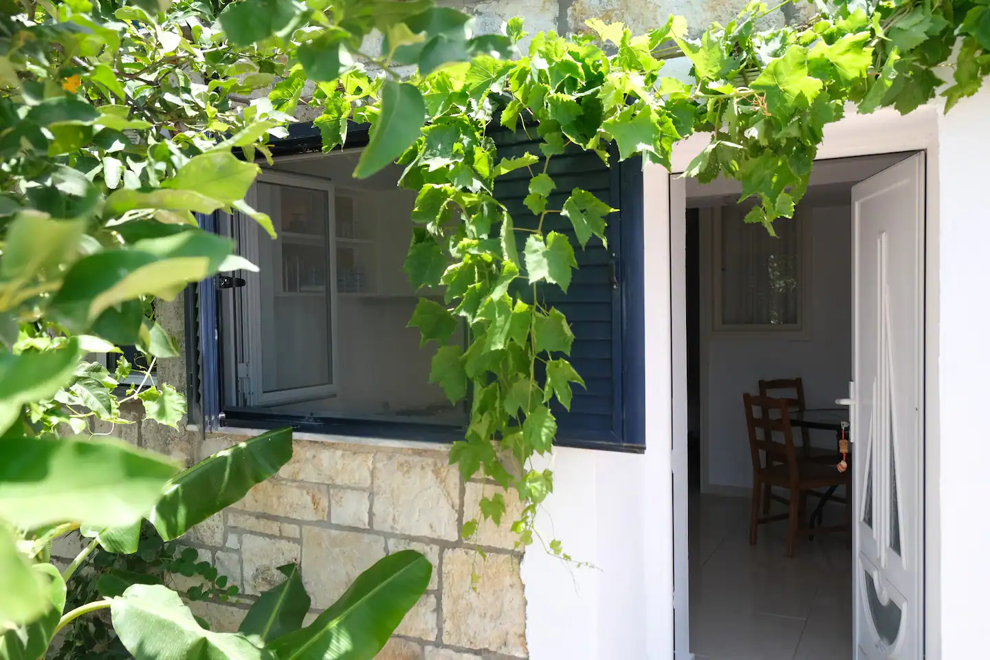 2024_Banana Tree_6ef7ed2a-4d80-4374-8920-3b1d37b4a71b