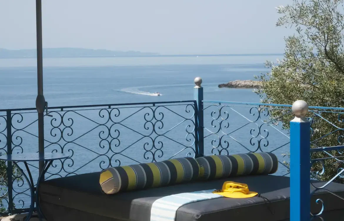 2024_Banana Tree_7b81a2e7-c053-493c-bd13-c72243fa6708