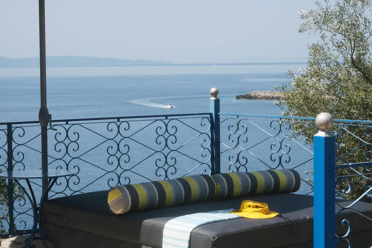 2024_Banana Tree_7b81a2e7-c053-493c-bd13-c72243fa6708