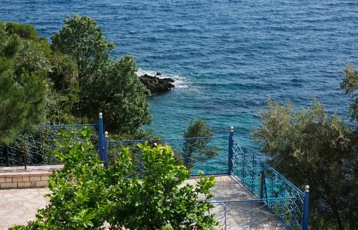 2024_LEMON TREE_350c16c2-c075-4c57-880d-17e6526a065e