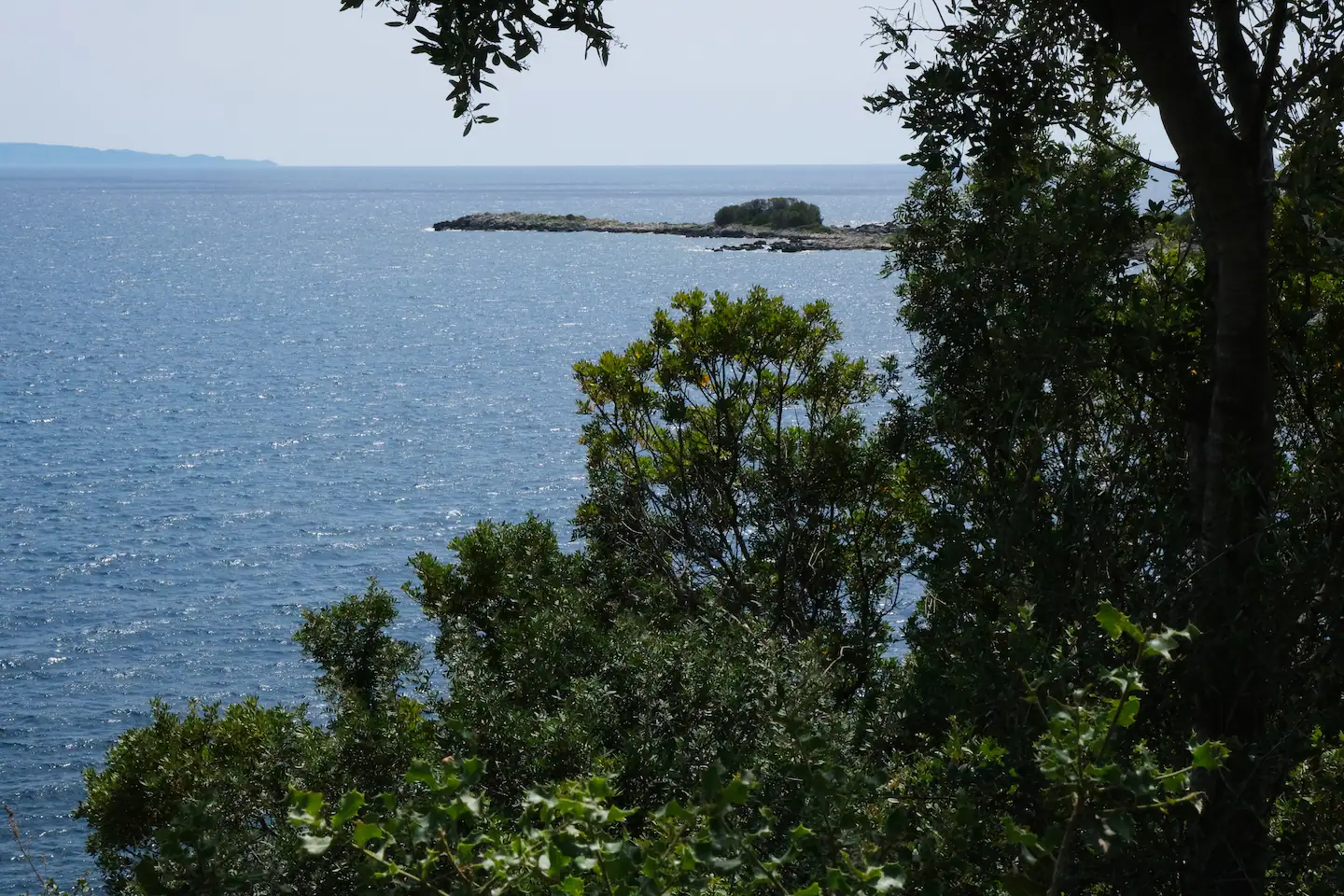 2024_LEMON TREE_c8093ccc-1405-40d4-b9c4-1370249efe94