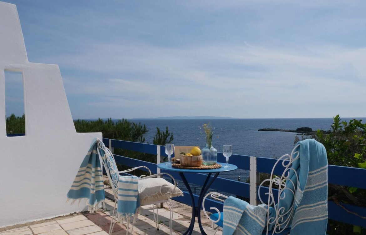 2024_LEMON TREE_d2c331e8-172a-478c-9dde-88eadbb9bb03